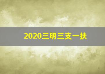 2020三明三支一扶