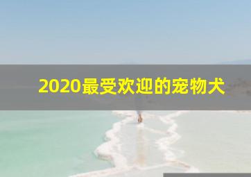 2020最受欢迎的宠物犬