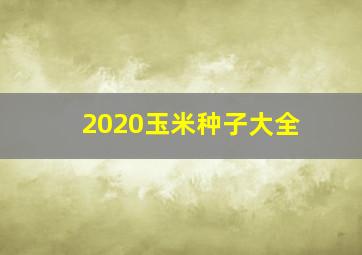 2020玉米种子大全