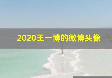 2020王一博的微博头像