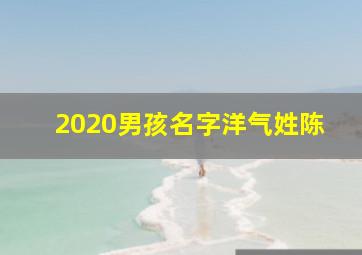 2020男孩名字洋气姓陈