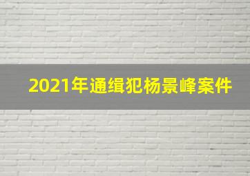 2021年通缉犯杨景峰案件