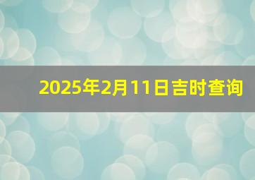 2025年2月11日吉时查询