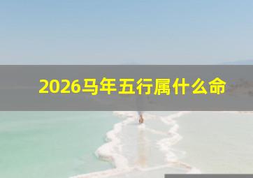 2026马年五行属什么命