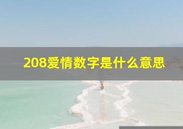 208爱情数字是什么意思