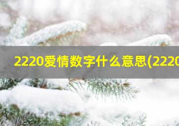 2220爱情数字什么意思(2220)