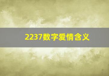 2237数字爱情含义