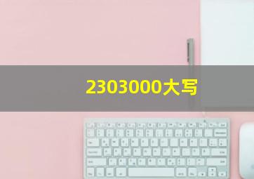 2303000大写