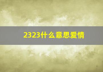 2323什么意思爱情