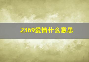 2369爱情什么意思