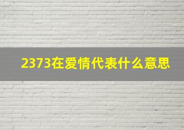 2373在爱情代表什么意思