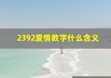 2392爱情数字什么含义