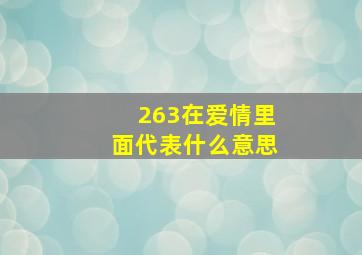 263在爱情里面代表什么意思