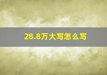 28.8万大写怎么写