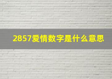 2857爱情数字是什么意思