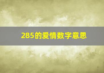 285的爱情数字意思