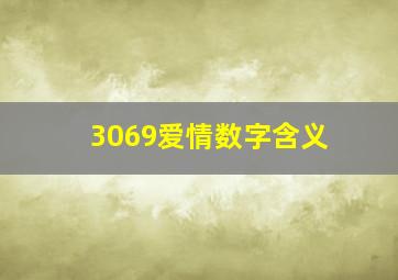 3069爱情数字含义