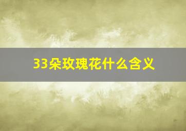 33朵玫瑰花什么含义