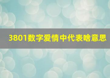 3801数字爱情中代表啥意思