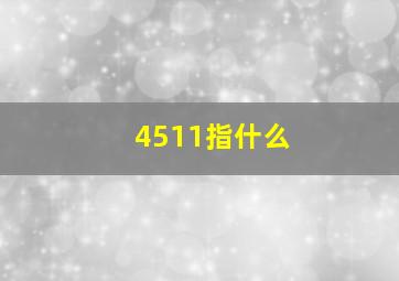 4511指什么