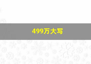 499万大写