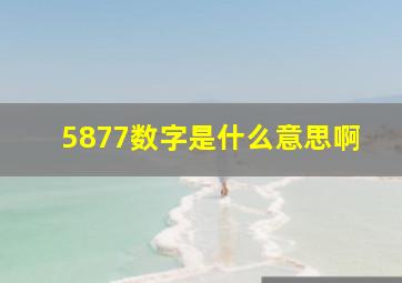 5877数字是什么意思啊