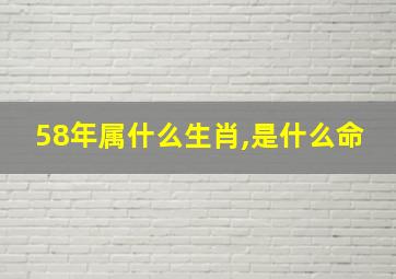 58年属什么生肖,是什么命