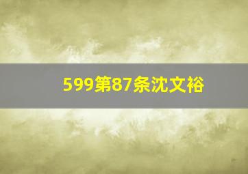 599第87条沈文裕