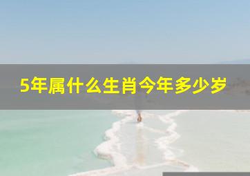 5年属什么生肖今年多少岁