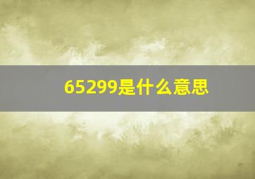 65299是什么意思