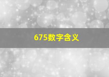 675数字含义