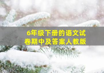 6年级下册的语文试卷期中及答案人教版