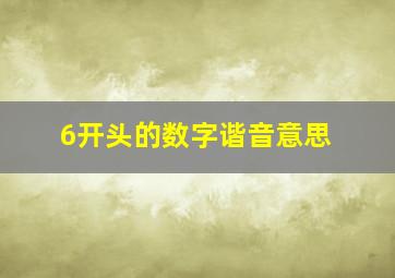 6开头的数字谐音意思