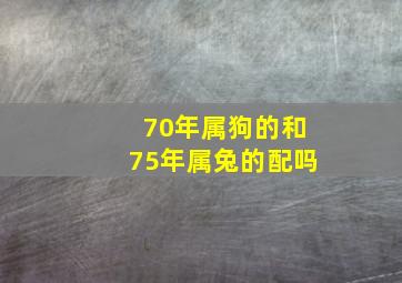 70年属狗的和75年属兔的配吗