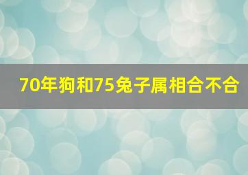 70年狗和75兔子属相合不合