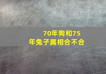 70年狗和75年兔子属相合不合