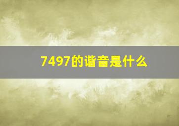 7497的谐音是什么