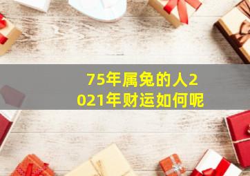 75年属兔的人2021年财运如何呢