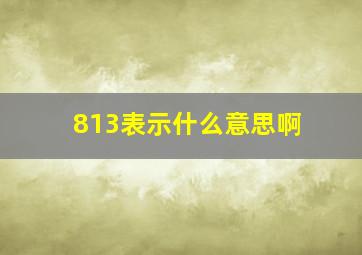 813表示什么意思啊