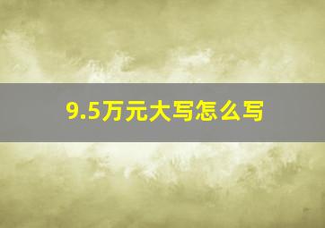 9.5万元大写怎么写