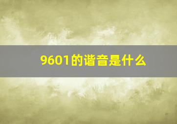 9601的谐音是什么