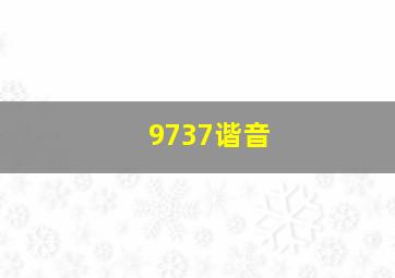 9737谐音