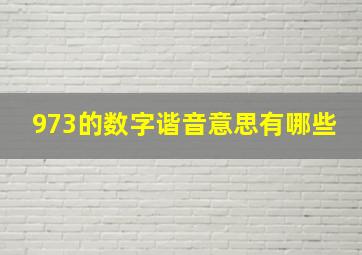 973的数字谐音意思有哪些