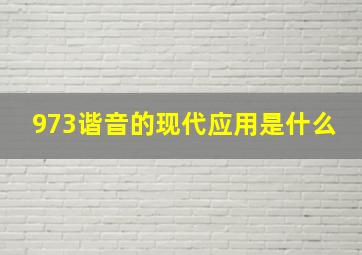 973谐音的现代应用是什么