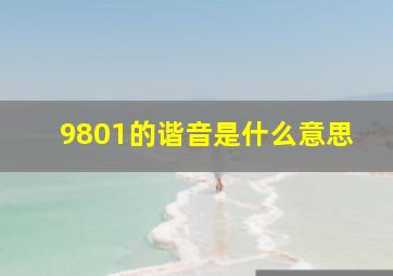 9801的谐音是什么意思