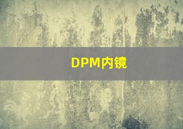 DPM内镜