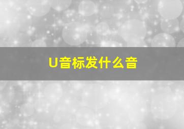 U音标发什么音