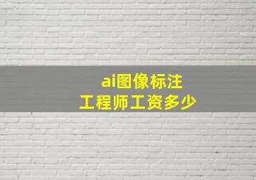 ai图像标注工程师工资多少