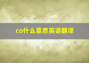 co什么意思英语翻译