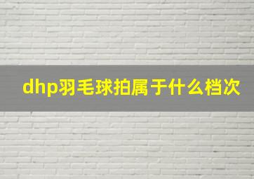 dhp羽毛球拍属于什么档次